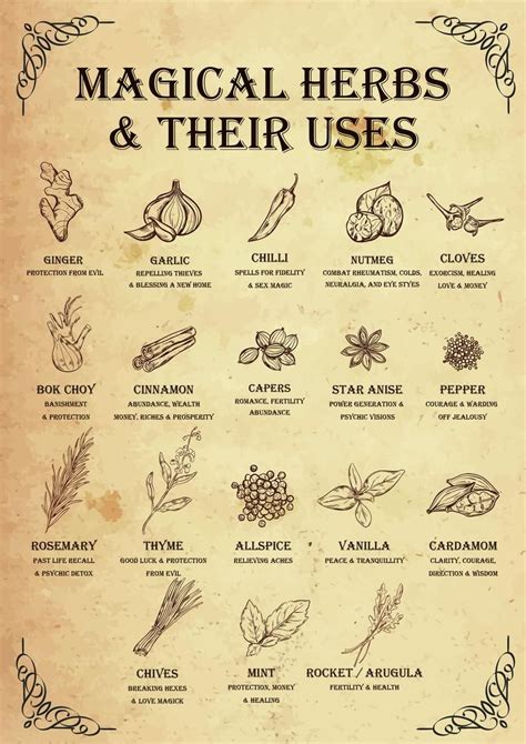 Correspondences of witchcraft herbs